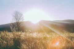 每一款都有其独特的故事