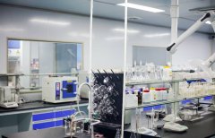 其丰富的国际客户服务经